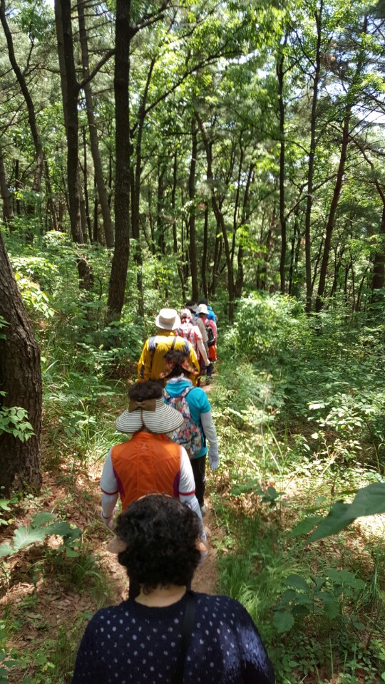 KakaoTalk_20170527_181043569.jpg